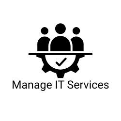 Manager IT Services